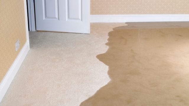 Water Damage Restoration in Beaverton, Oregon